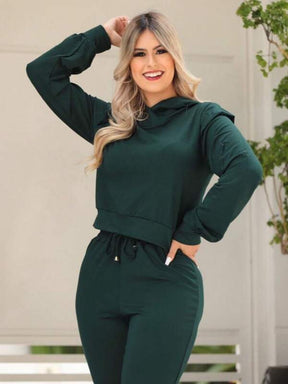 Conjunto Feminino Moletinho Calça e Blusa Com Capuz Cintia